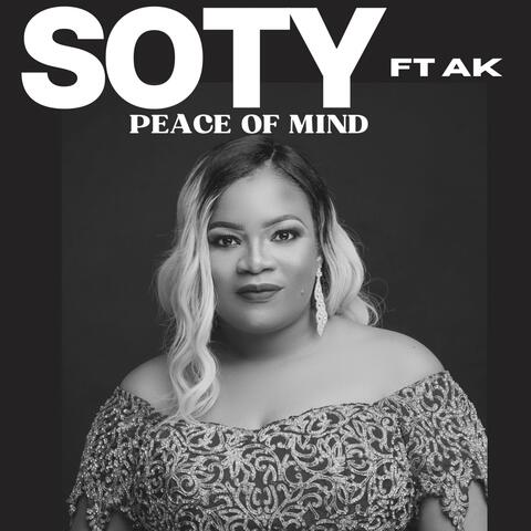 PEACE OF MIND (feat. AK) album art