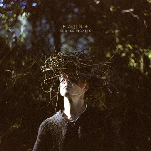 Fauna album art