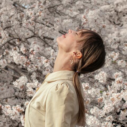 Spring Songs On The Fly album art