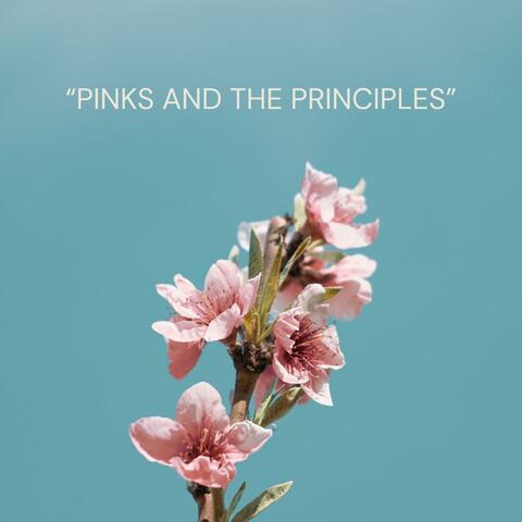 PINKS AND THE PRINCIPLES album art