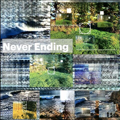 Never Ending, Resistance of Diversity album art