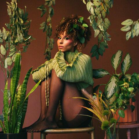 Vines album art