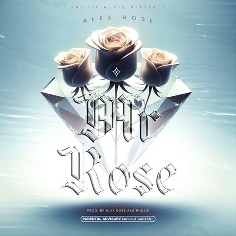 MR ROSE album art