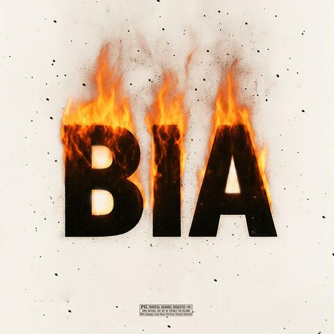 BIA album art