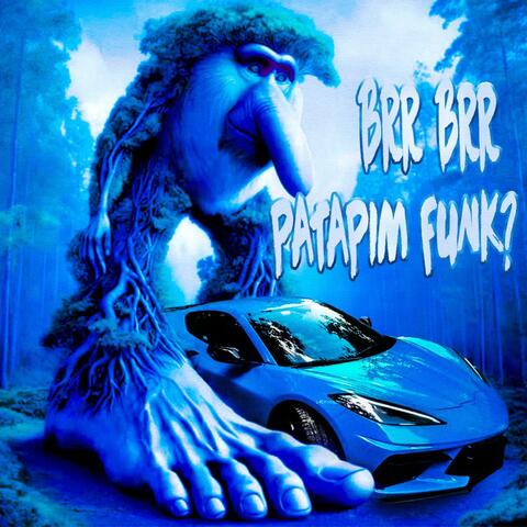 BRR BRR PATAPIM FUNK? album art