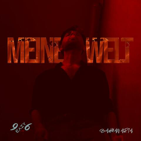 Meine Welt album art