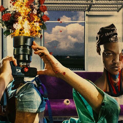 Floral Pics album art