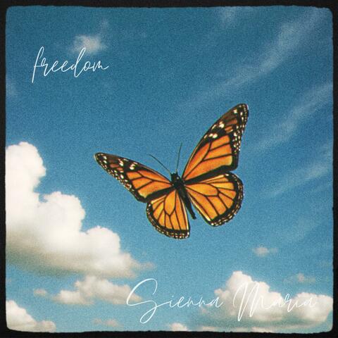 Freedom album art