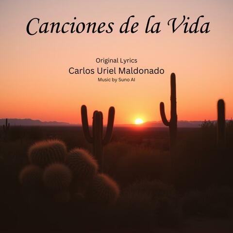 Canciones de la Vida (Banda) album art