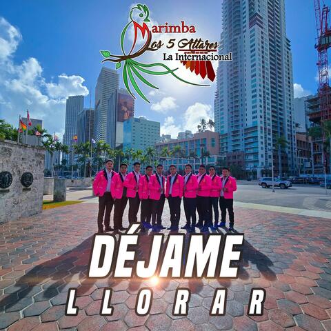 Déjame Llorar album art