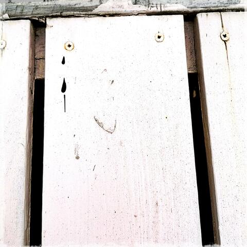 Tiktaalik go back! album art