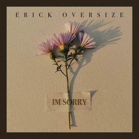 im sorry album art