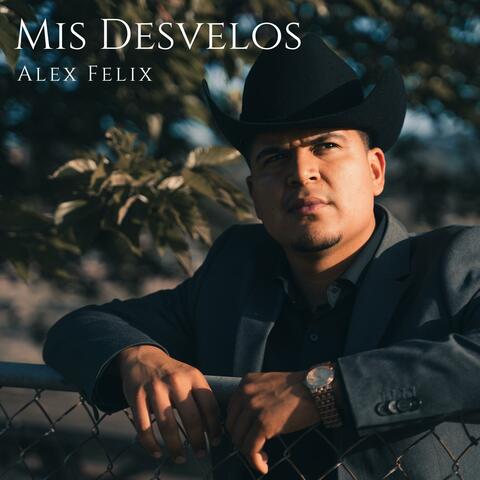 MIS DESVELOS album art