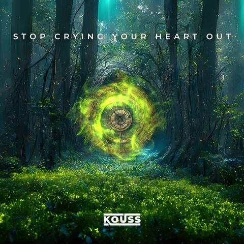 Stop Crying Your Heart Out album art