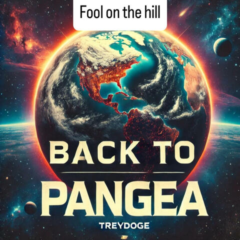 Fool On the Hill album art
