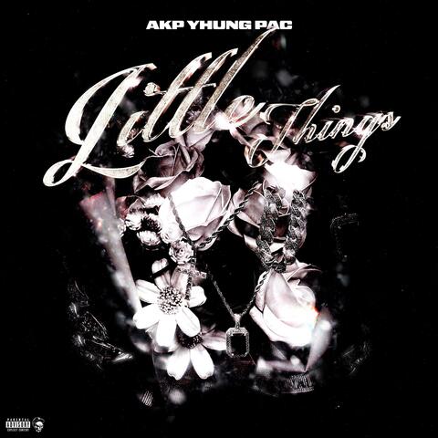Little Things album art
