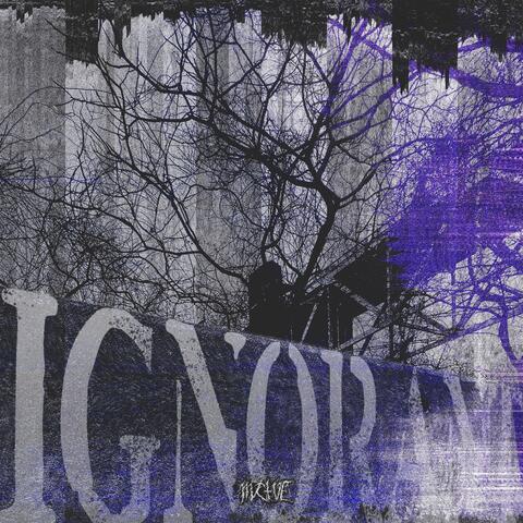 Ignorant album art