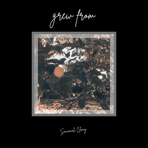 grew from album art