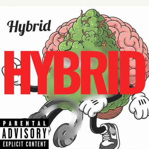 HYBRID album art