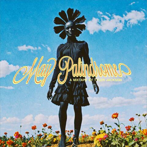 May Palindrome album art