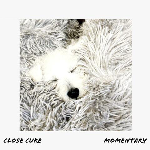Momentary album art