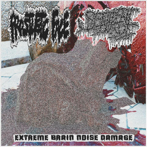 Extreme Brain Noise Damage (Split) album art