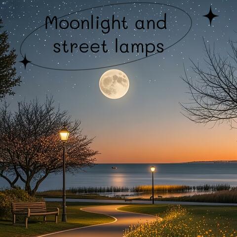 Moonlight and street lamps album art