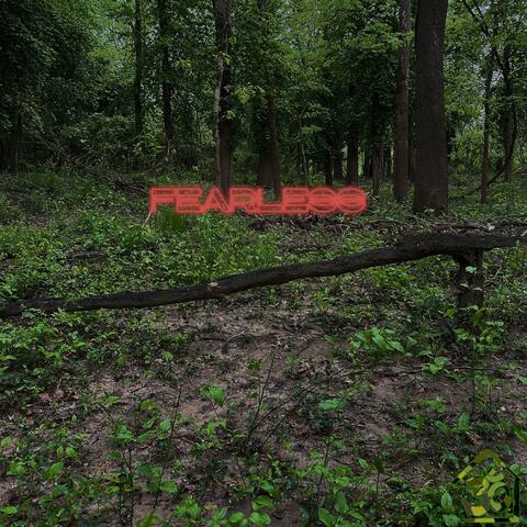 FEARLESS album art