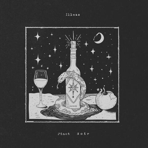 Pinot Noir (feat. Adam Flowers) album art