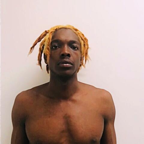 IN THE LEAD album art