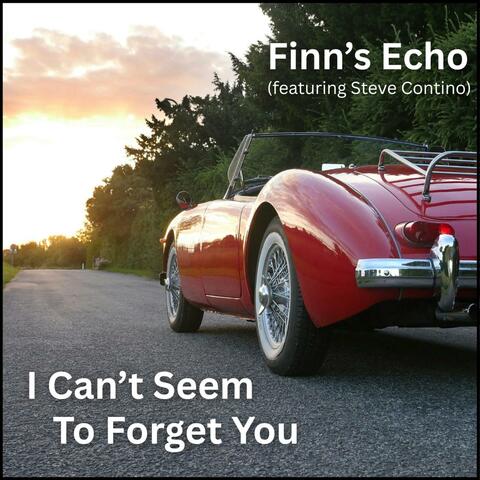 I Can't Seem To Forget You (feat. Steve Contino) album art