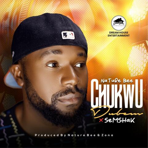 Chukwu Dubem (feat. Semshak) album art