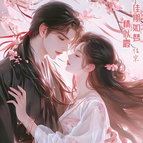 佳期如梦情似霰 (对唱版) album art