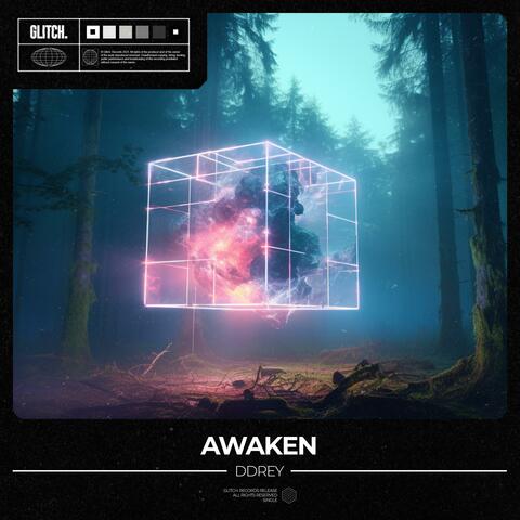 Awaken album art