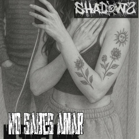 No Sabes Amar album art