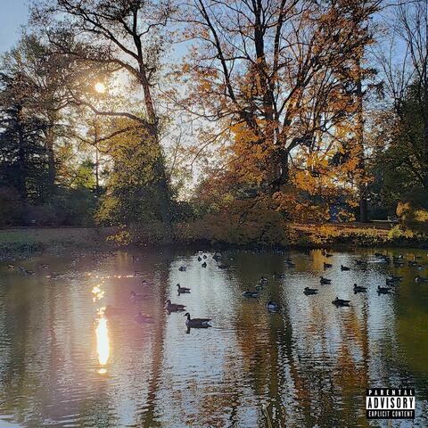 SITTING DUCKS album art