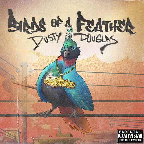 Birds of a Feather album art