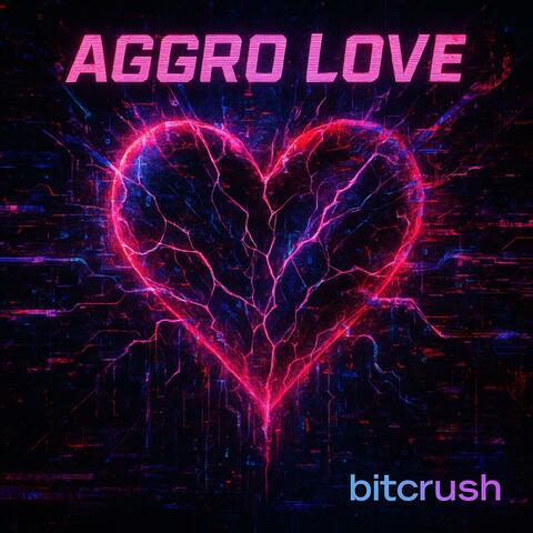 aggro love album art