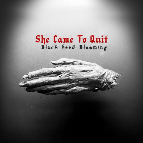 Black Seed Blooming album art
