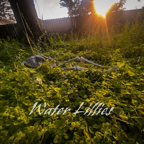 Water Lilies album art