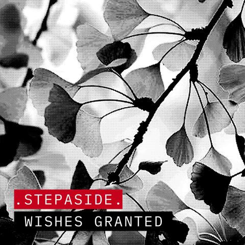 Wishes Granted album art