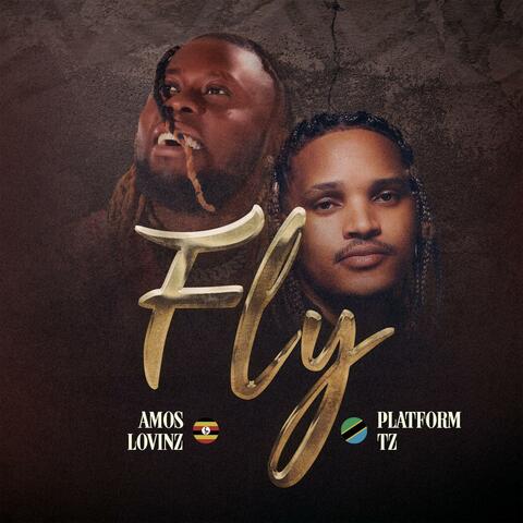 Fly (feat. Platform Tz) album art
