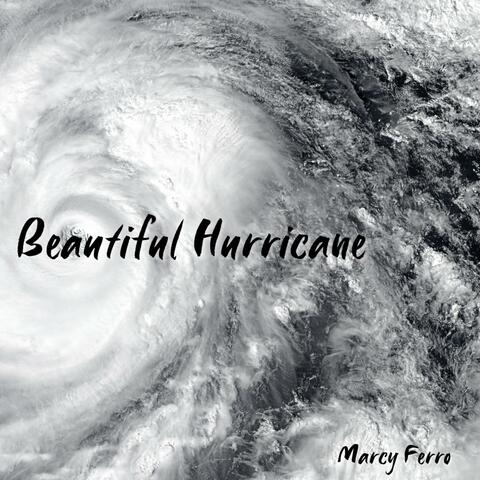 Beautiful Hurricane album art