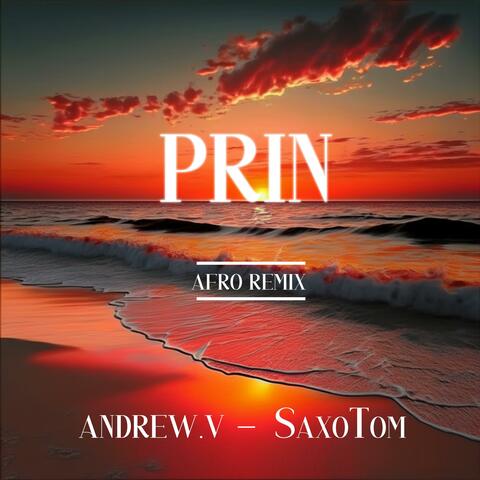 Prin (feat. MrSaxoTom) [AfroHouse Remix] album art