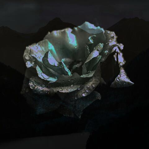 River (One) album art