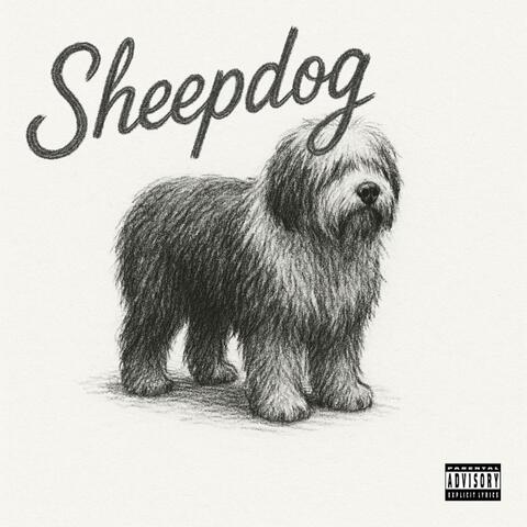Sheepdog (feat. Lord Lorenz) album art