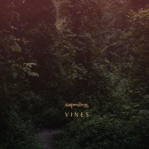 Vines album art