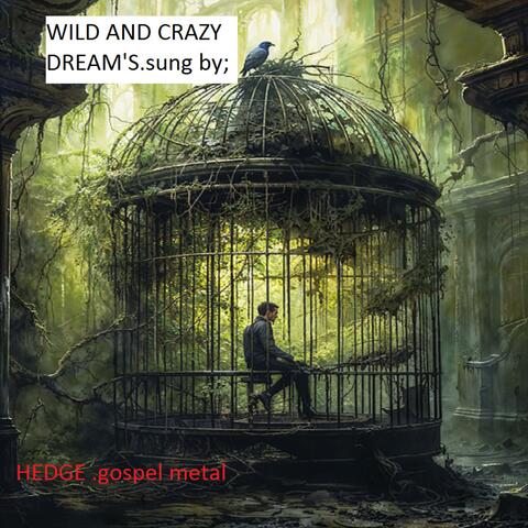 WILD AND CRAZY DREAMS /gospel metal band album art