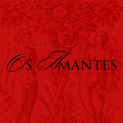 OS AMANTES album art