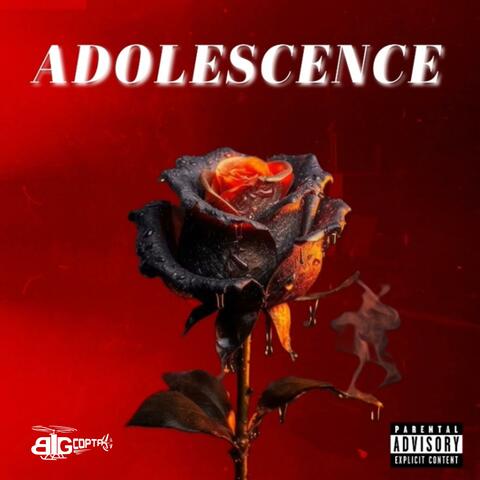 ADOLESCENCE album art